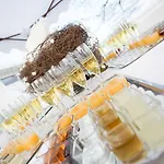 Bellevue Hotel 3*