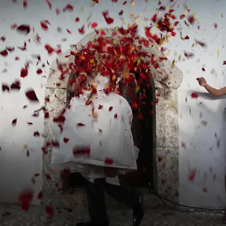 Hotel Bellevue Kranj